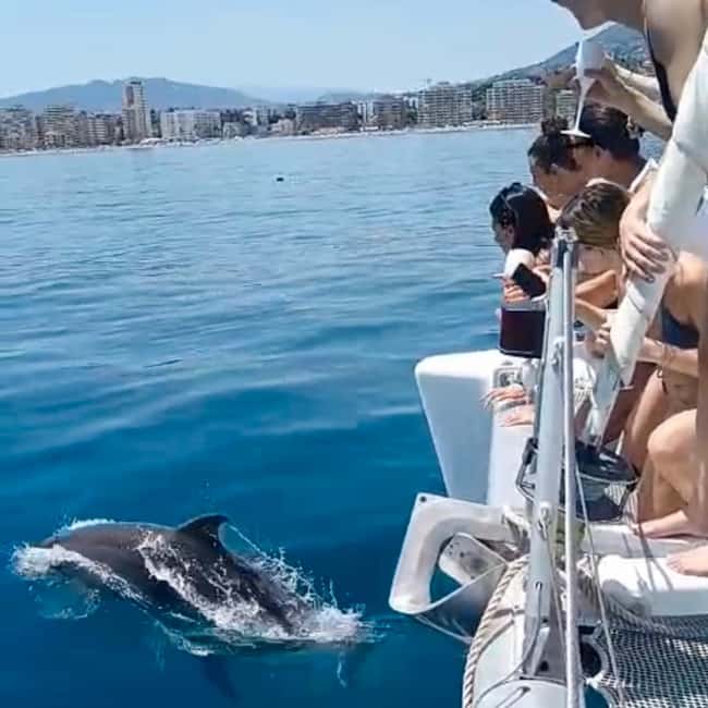 Benalmádena: Catamaran with dolphin watching and drinks - Swimming, snorkeling, and paddleboarding stops