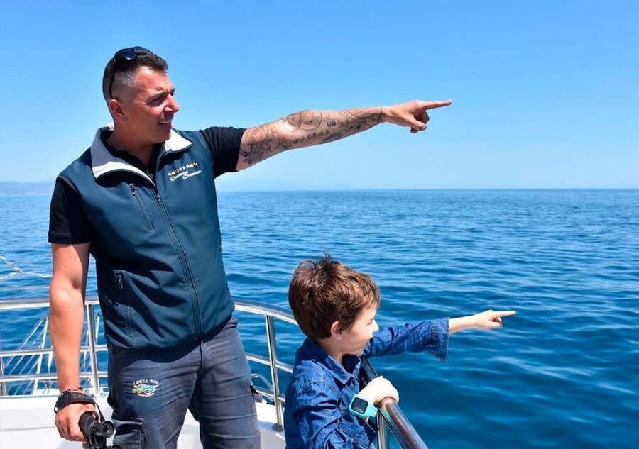 Benalmadena: Dolphin Watching Boat Tour - Key points before you book