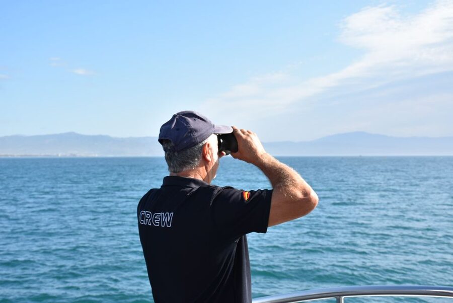 Benalmadena: Dolphin Watching Boat Tour - The summer swim is a bonus, not the main event