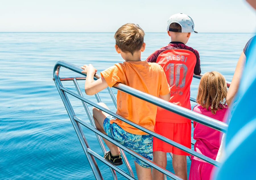 Benalmadena: Dolphin Watching Boat Tour - Comfort on board, including for families