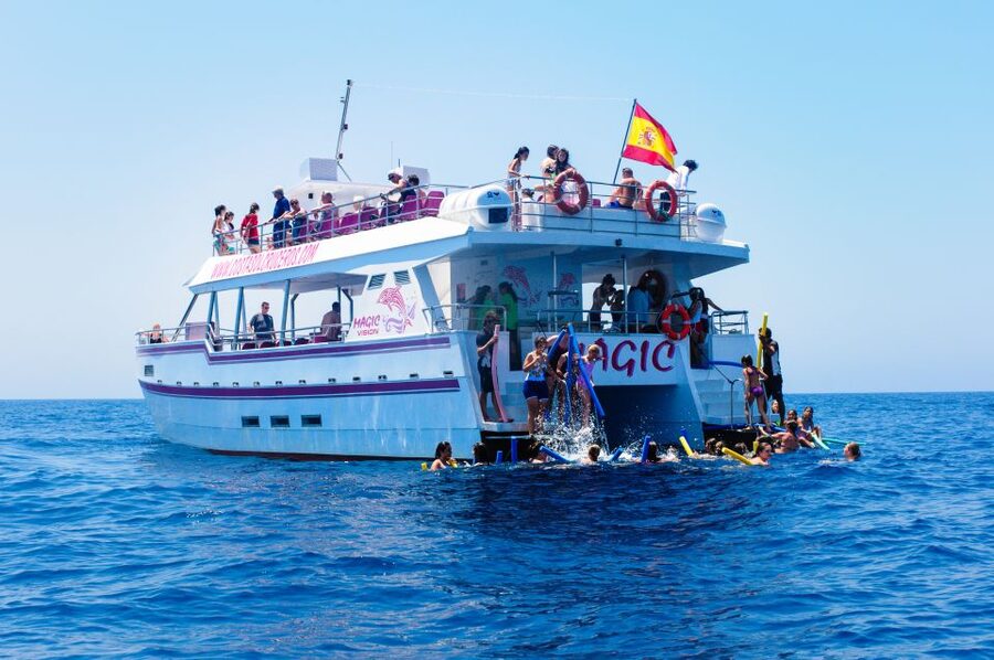 Benalmadena: Dolphin Watching Boat Tour - Sea conditions and seasickness