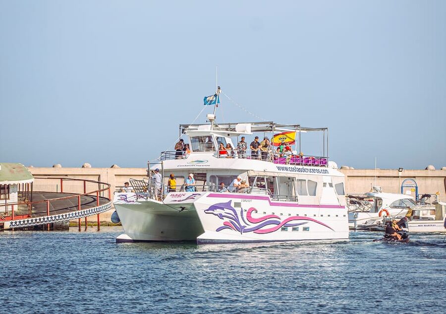 Benalmadena: Dolphin Watching Boat Tour - Check in beside Pinocho Restaurant