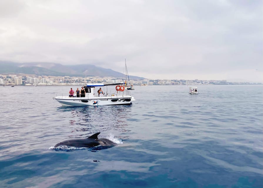Benalmadena: Private Boat Trip – Dolphins, Drinks & Snacks - Leaving the port and taking in the Costa del Sol