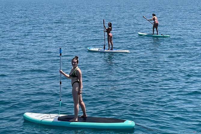 Benalmádena: Sailing and Dolphin Watching with Snacks and Drinks - The price and the value of a short private-style cruise