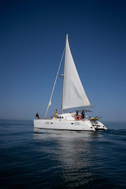 Benalmádena: Sailing & Dolphin Watching with Snacks/Drinks - Should you book the Benalmádena catamaran?