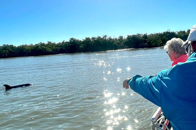 Best of Marco Island Dolphin Tour - A small-boat view of Marco Island