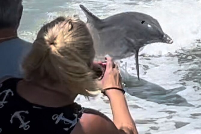 Best of Marco Island Dolphin Tour - Ninety minutes among the 10,000 Islands