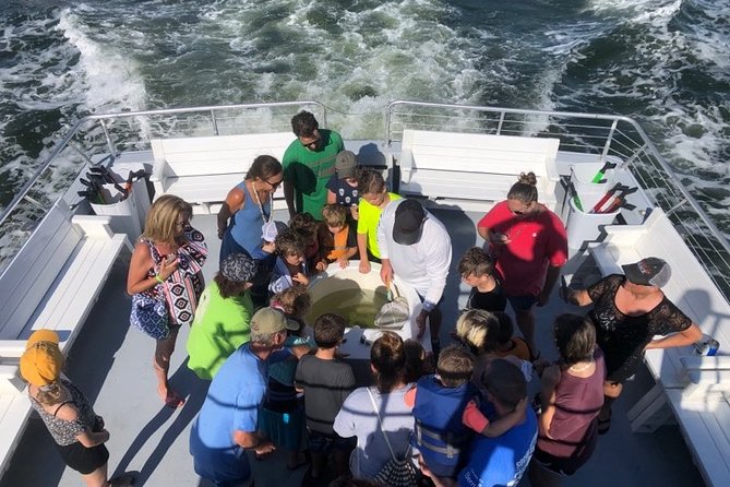 Big Fun Dolphin Cruise & Sealife Experiece ORANGE BEACH ALABAMA - Looking for dolphins around Orange Beach