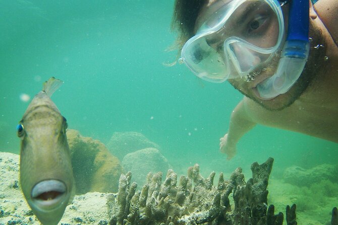Biologist Owned & Operated: Dolphin Watching & Guided Snorkeling - Comfort, timing, and what to bring