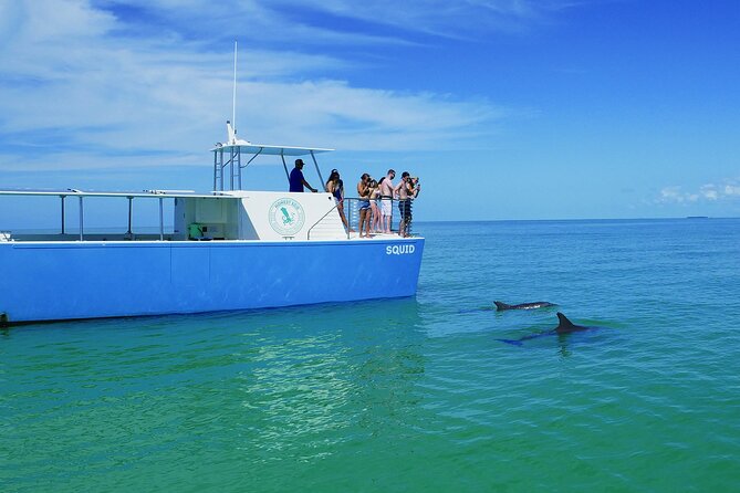 Biologist Owned & Operated: Dolphin Watching & Guided Snorkeling - Final booking advice