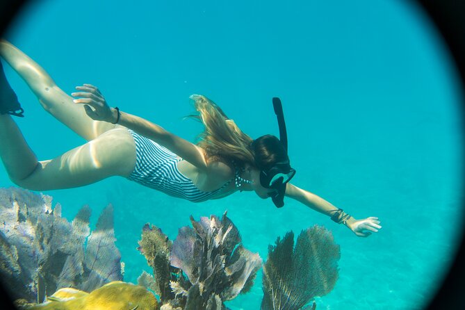 Biologist Owned & Operated: Dolphin Watching & Guided Snorkeling - What makes SQUID different from a large tour boat