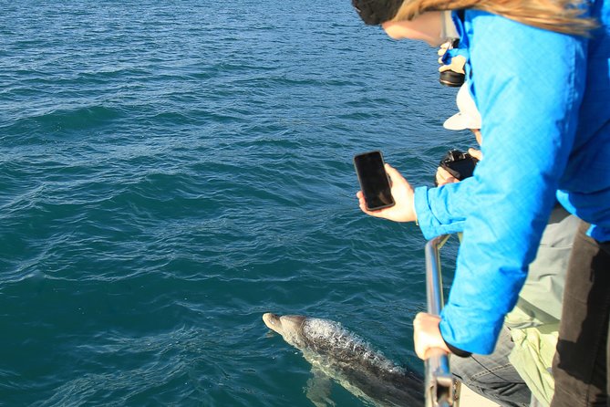 Bird Watching and Dolphin Eco-Tour to Blumine Island - Why Blumine Island makes this more than a boat ride