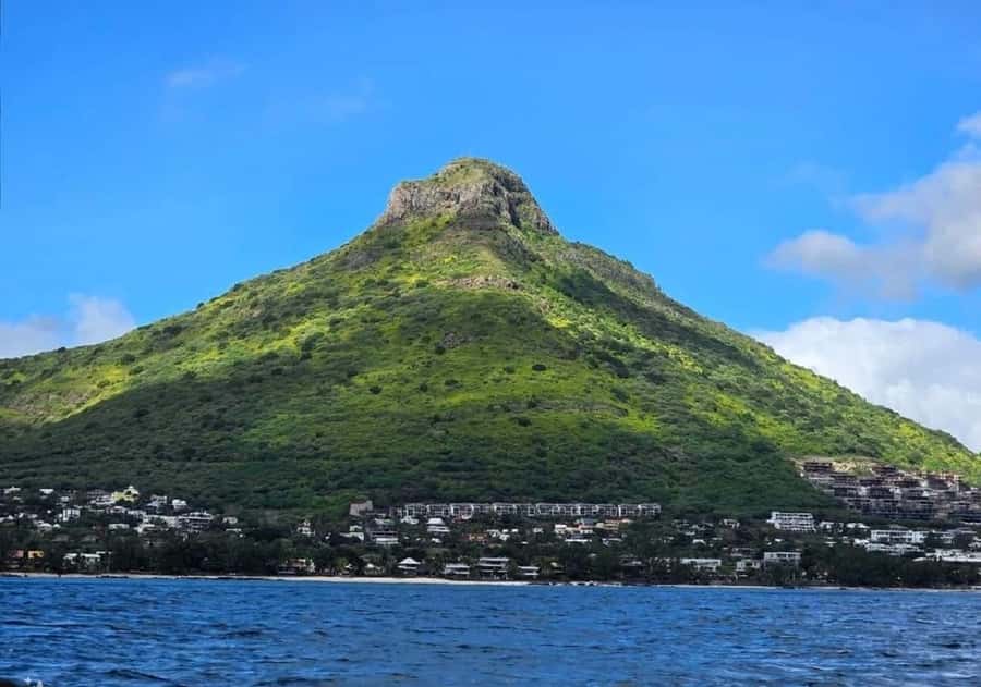 Black River: Swim with Dolphin Speed Boat Tour with lunch - Île aux Bénitiers and the beach lunch