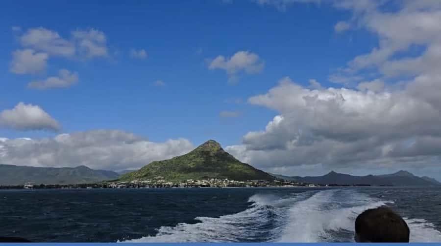 Black River: Swim with Dolphin Speed Boat Tour with lunch - Should you book it?