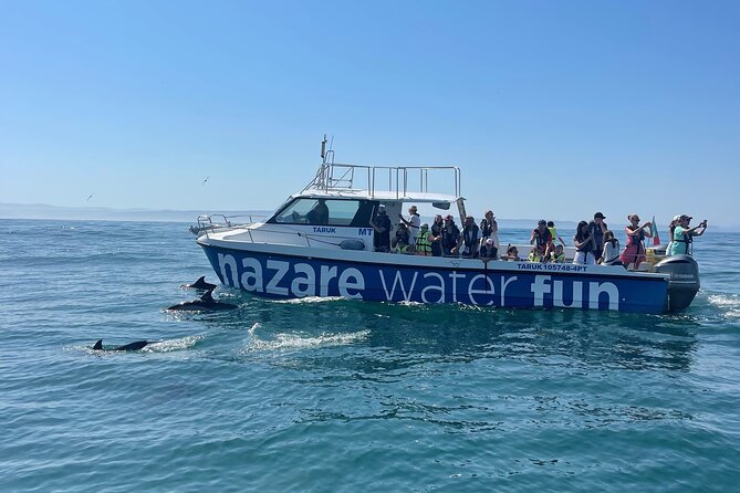 Boat Tour : Observation of Dolphins and Nazareth Canyon - Key points to know before you book