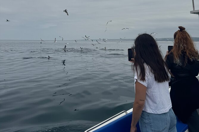 Boat Tour : Observation of Dolphins and Nazareth Canyon - Why Nazaré looks different from the water