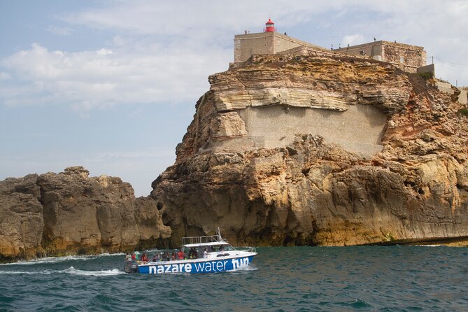 Boat Tour : Observation of Dolphins and Nazareth Canyon - Searching for dolphins near Nazaré Canyon