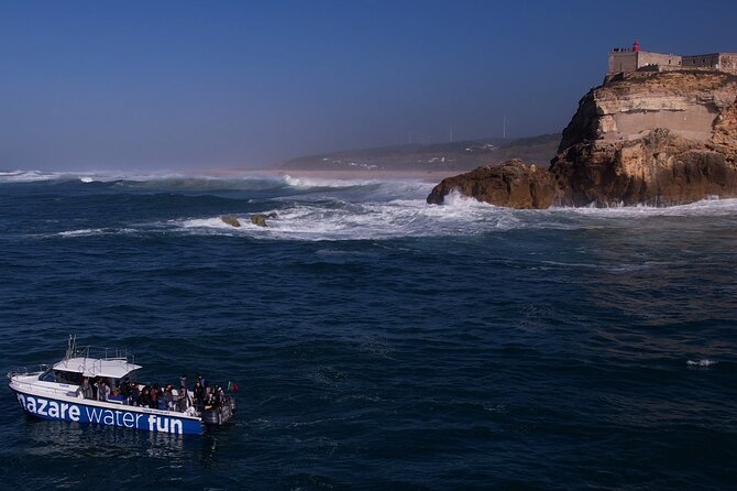 Boat Tour : Observation of Dolphins and Nazareth Canyon - Seeing Nazaré beach from offshore