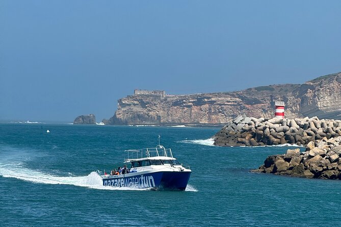 Boat Tour : Observation of Dolphins and Nazareth Canyon - The marina, boats, and giant-wave connection