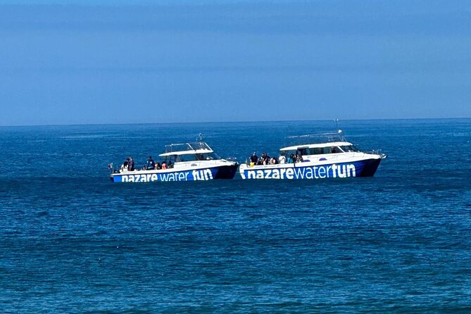 Boat Tour : Observation of Dolphins and Nazareth Canyon - What the one to two-hour length means