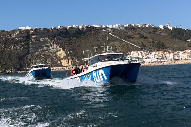 Boat Tour : Observation of Dolphins and Nazareth Canyon - Is $78.60 a fair price?