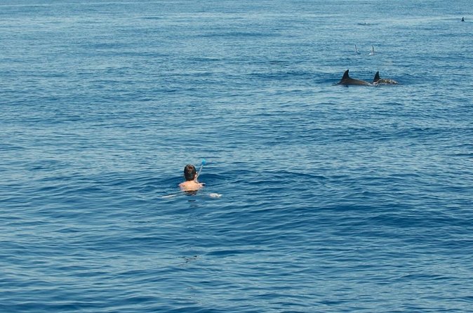 Boat tour with dolphin sighting - Syracuse’s caves and the Blue Grotto
