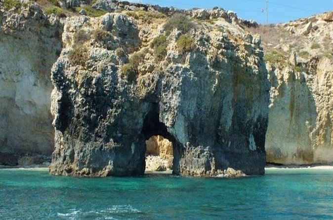 Boat tour with dolphin sighting - Plemmirio and the chance of dolphins