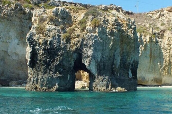 Boat tour with dolphin sighting - What the private price really means