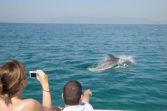 Boat Trip for Dolphin Watching along the Arrabida Coast and Sesimbra - Starting at Sesimbra’s Porto Abrigo
