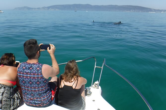 Boat Trip for Dolphin Watching along the Arrabida Coast and Sesimbra - Beaches and caves after the wildlife search