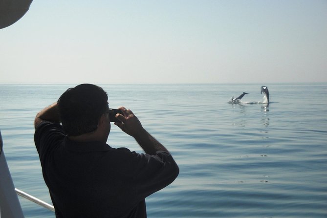 Boat Trip for Dolphin Watching along the Arrabida Coast and Sesimbra - A possible swimming stop