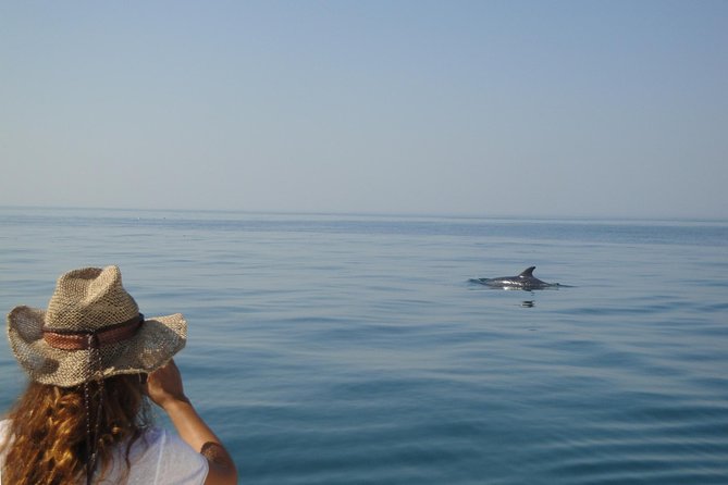 Boat Trip for Dolphin Watching along the Arrabida Coast and Sesimbra - What the $62.61 price gives you