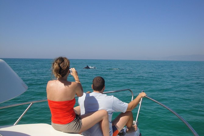 Boat Trip for Dolphin Watching along the Arrabida Coast and Sesimbra - Who will enjoy this boat trip most?