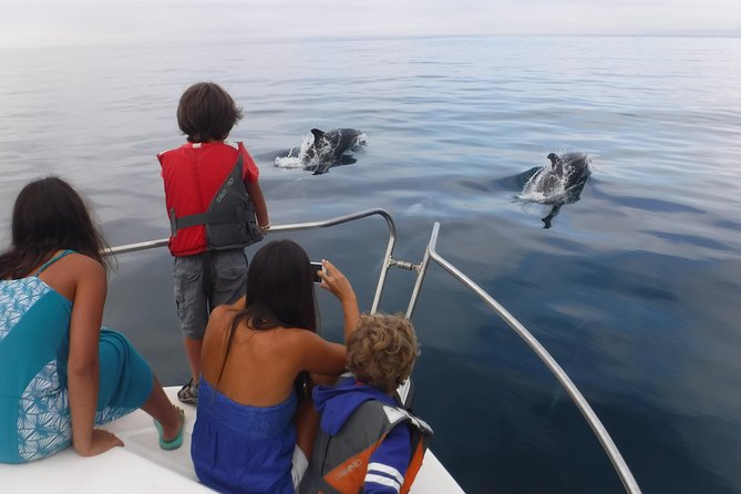 Boat Trip for Dolphin Watching along the Arrabida Coast and Sesimbra - Practical advice before you book