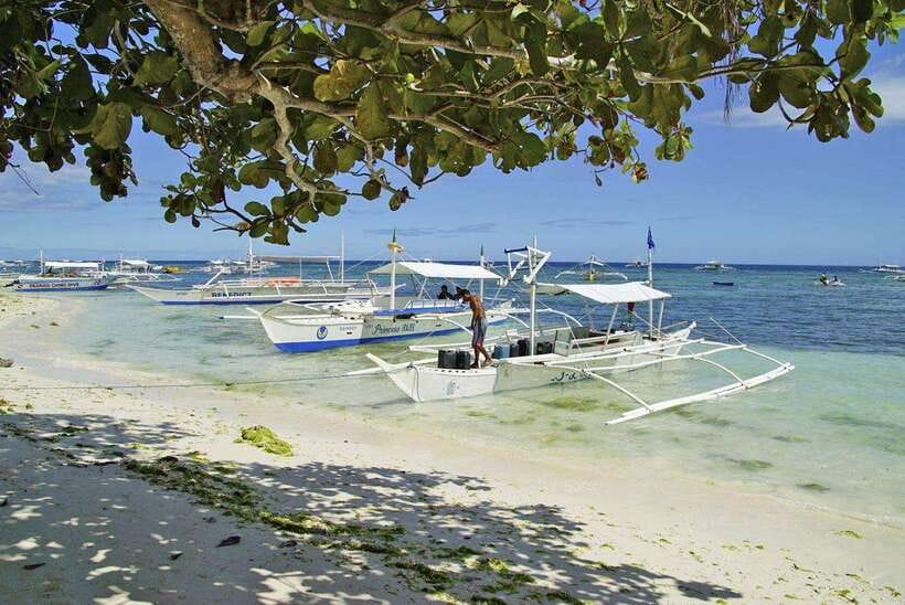 Bohol Balicasag Is Private Tour and Dolphin Watching - Balicasag snorkeling and turtle watching