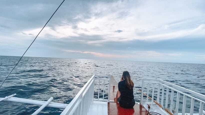 Bohol Balicasag Is Private Tour and Dolphin Watching - Paddle boat time and a slower pace