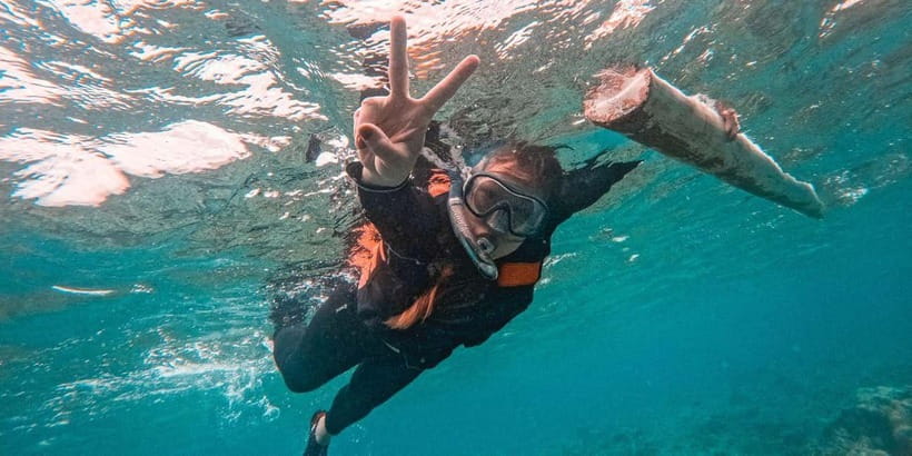 Bohol Dolphin Watching, Balicasag, and Virgin Island Tour - A pre-sunrise start in Panglao Bay