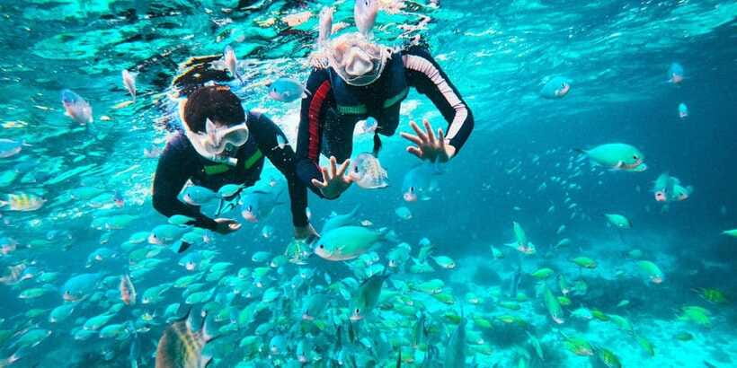 Bohol Dolphin Watching, Balicasag, and Virgin Island Tour - What the five-hour schedule really gives you