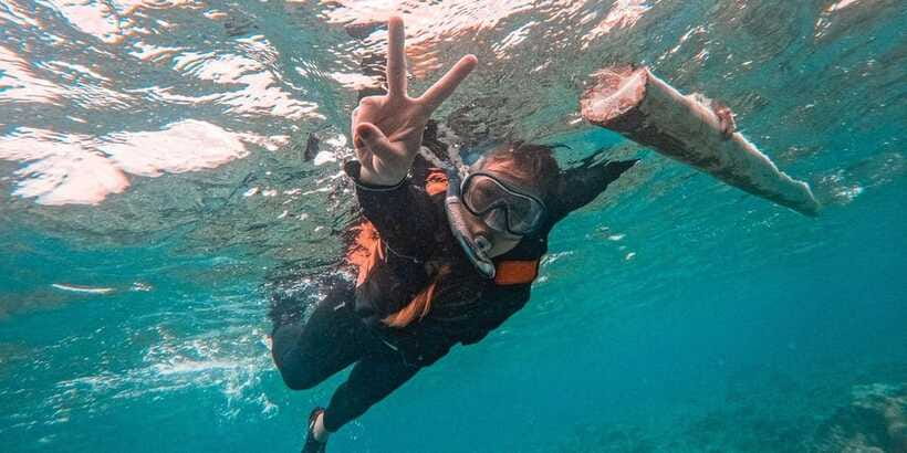 Bohol Dolphin Watching, Balicasag, and Virgin Island Tour - My practical verdict on GoPanglao’s island outing