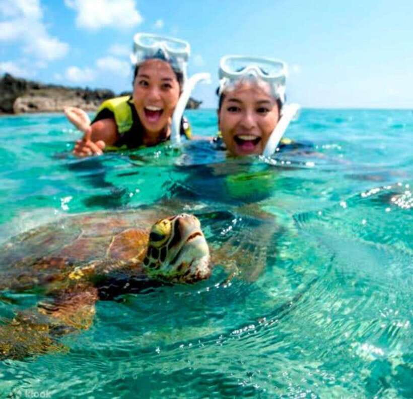 Bohol: Dolphin Watching & Sea Turtle Swim Island Tour - Searching for wild dolphins in the morning light