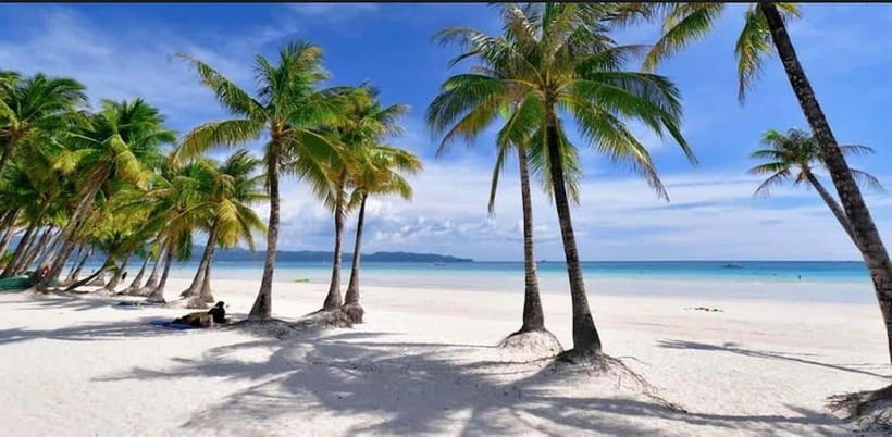 Bohol: Dolphin Watching & Sea Turtle Swim Island Tour - Coral, fish, and the cost of popularity