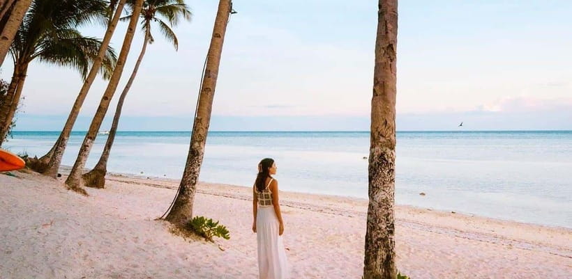 Bohol: Dolphin Watching & Sea Turtle Swim Island Tour - How the small-group setup works