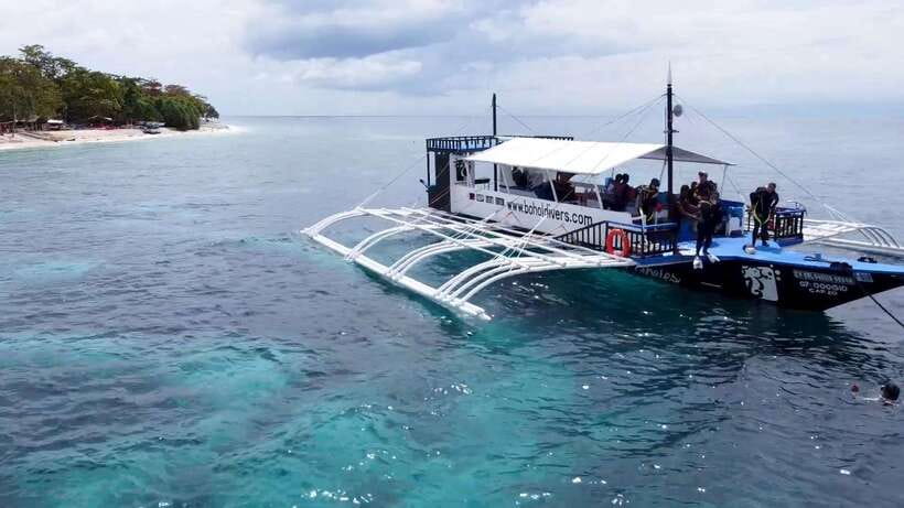 Bohol: Dolphin Watching & Snorkeling at Balicasag Island - Sunrise dolphins and a busy Balicasag morning