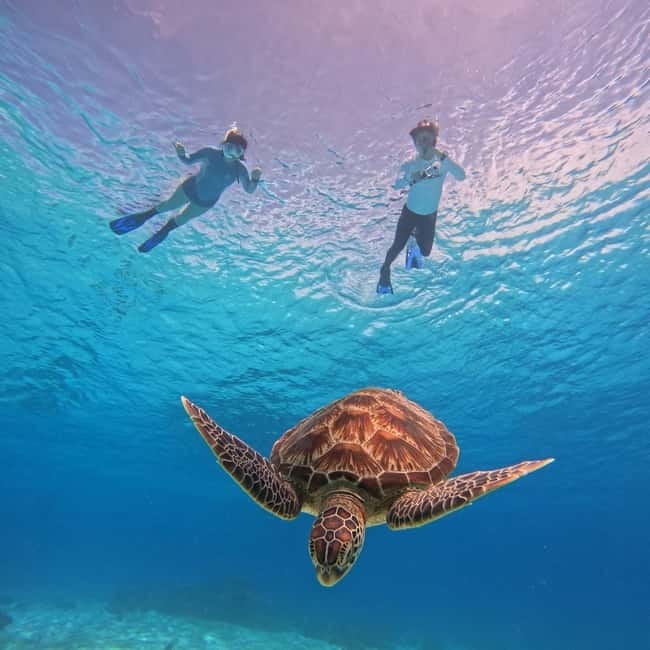 BOHOL: Dolphin Watching, Turtle Swim and Party Boat - Early boats and the search for dolphins