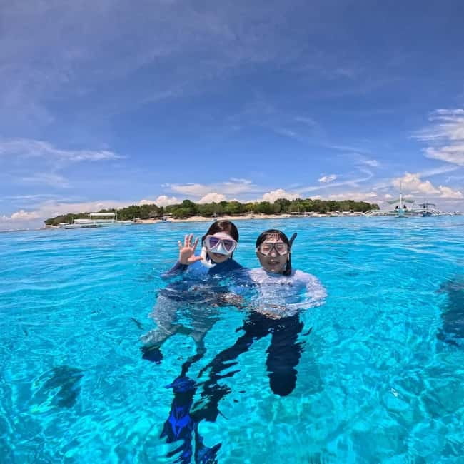 BOHOL: Dolphin Watching, Turtle Swim and Party Boat - Underwater photos that save you the hassle