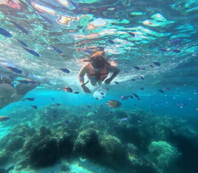 BOHOL: Dolphin Watching, Turtle Swim and Party Boat