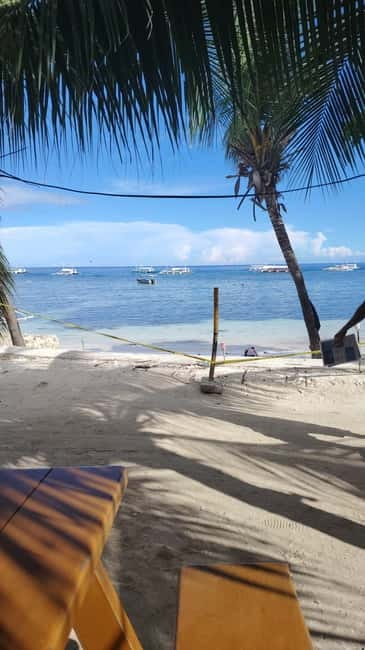 BOHOL: Dolphin Watching, Turtle Swim and Party Boat - What to pack for the five-hour outing