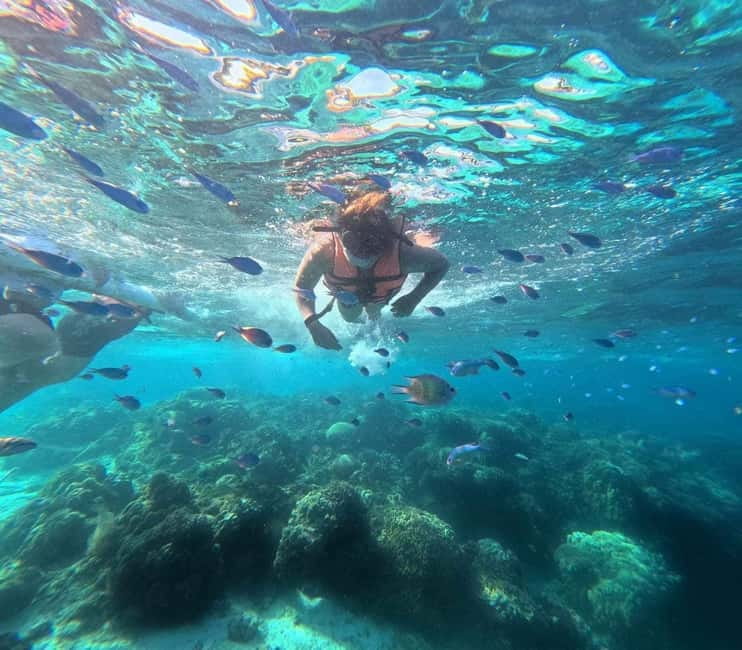 BOHOL: Dolphin Watching, Turtle Swim and Party Boat - Three hours around Balicasag Island