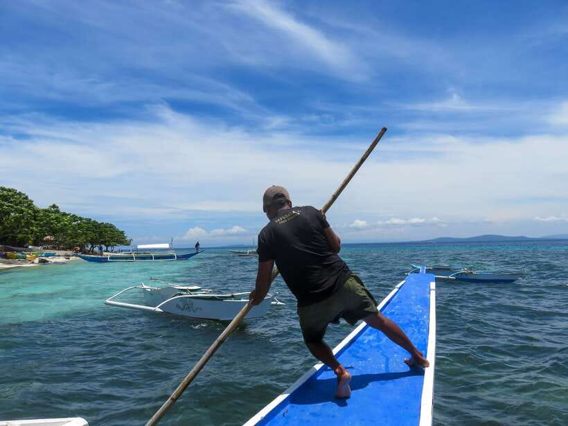 Bohol: Pamilacan Island Dolphin/Turtle Watching Tour & Lunch - Key things to know before booking