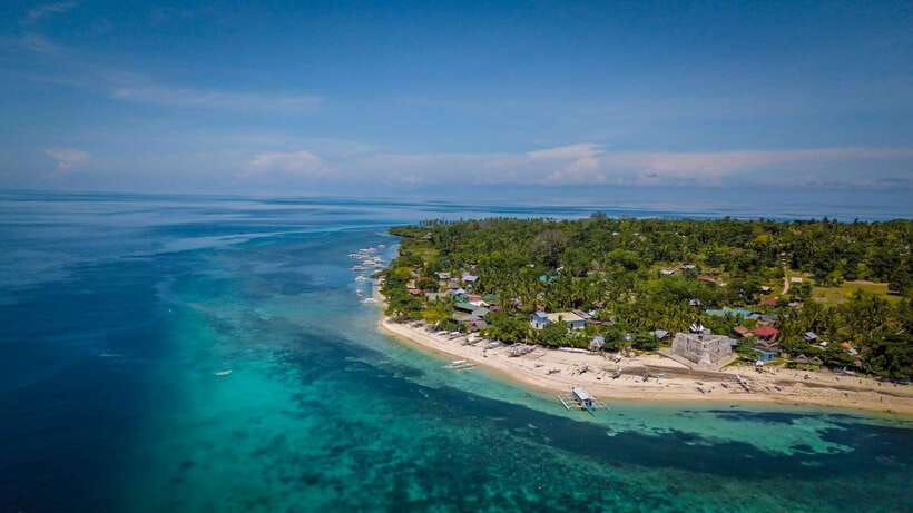 Bohol: Pamilacan Island Dolphin/Turtle Watching Tour & Lunch - Who will enjoy this trip most
